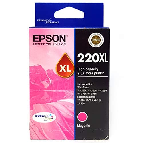 Image of Epson 220XL - High Capacity DuraBrite - Magenta Ink Cartridge, Single Pack, C13T294392