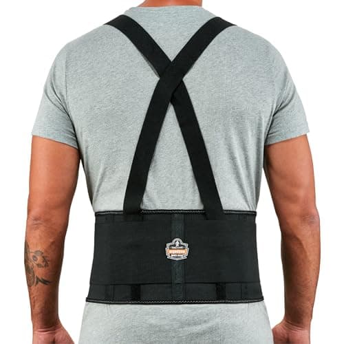 Image of Ergodyne ProFlex Economy Elastic Back Support, Large (L) (11094)