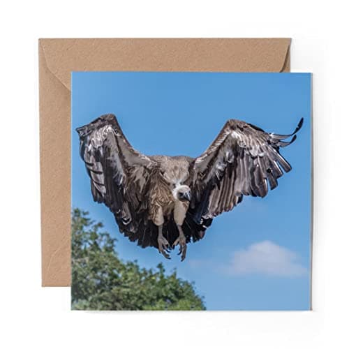 Image of 1 x Greeting Card White Backed Vulture Ugly Bird Eagle - Blank Birthday Celebration Anniversary #16841