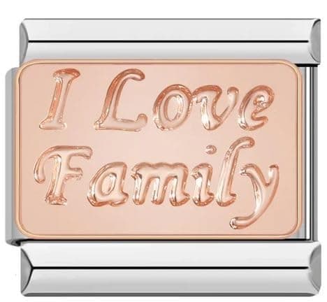 Image of I Love My Family Rose Gold Silver 9mm Italian Charm Compatible With 9mm Bracelet