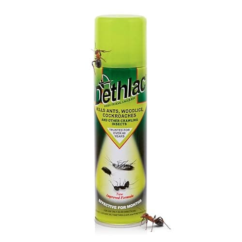 Image of 1 x Dethlac Spray | Ant Killer Indoor & Outdoor 250ml Aerosol | Insect Killer Indoor & Outdoor Use – Insecticide Bug Spray Lacquer - Effective for Ants, Cockroach, Woodlice, & Other Crawling Insects