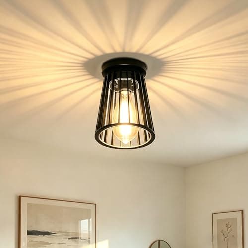 Image of EBION Ceiling Light,Modern Chandelier Indoor Outdoor Ceiling Lighting Fixtures E27,Industrial Semi Flush Mount Outside Ceiling Lamp for Living Room,Hallway,Balcony,Porch,Black,Bulbs Not Included