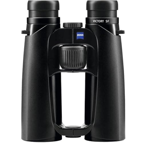 Image of Victory SF 10x42 schwarz (2017)