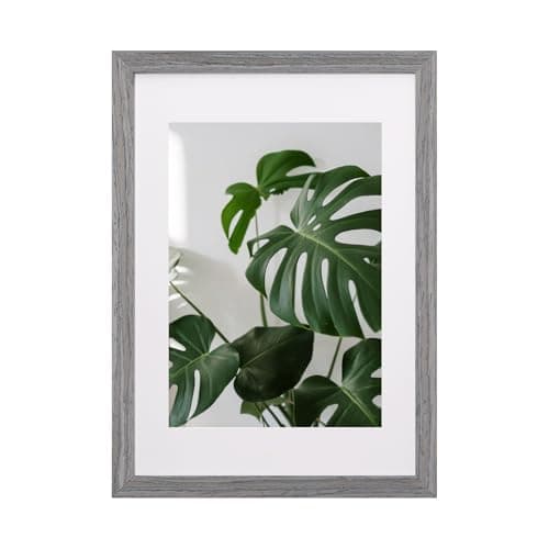 Image of EGOFINE A3 Frame,100% Solid Wood Frame,A3 Picture Frames Matted for A4, A3 Photo Frame with Acrylic Glass,Certificate Frame for Table Top and Wall Mounting,29.7 X 42 cm Poster Frame, Light Gray