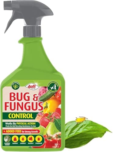 Image of Doff Bug & Fungus Control Spray 1L – Ready-to-Use Insecticide & Fungicide for Plants | Controls Aphids, Whitefly, Mildew & Black Spot | Garden Plant Protection Spray/PESTICIDE FREE