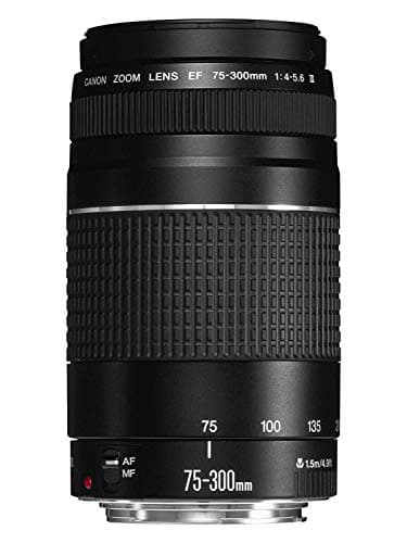 Image of Canon EF 75-300mm f/4.0-5.6 III Filter Size 58mm Zoom Lens (Not USM)