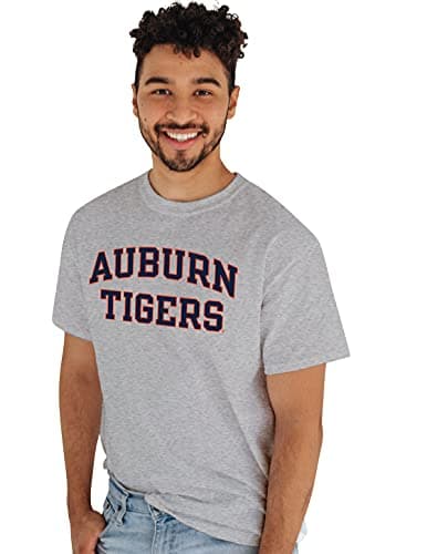Image of Blue 84 Men's T-Shirt Arched, Gray, XX-Large