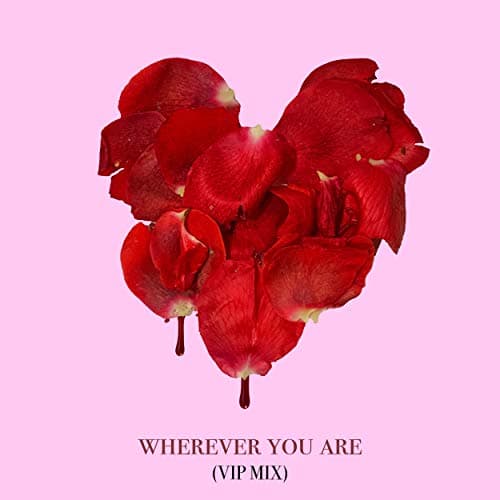 Image of wherever you are (adam&steve VIP Remix) [Clean]