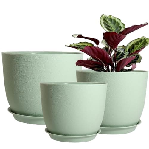 Image of PROFIKLA 30cm, 25cm,23cm Plastic Plant Pots, Pack of 3 Planters, Large Plant Pots with Drainage Holes and Saucers, Modern Decorative Flower Pots, Green