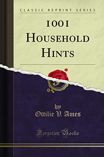 Image of 1001 Household Hints (Classic Reprint)
