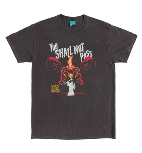 Image of The Lord of The Rings Balrog You Shall Not Pass Vintage Wash Charcoal T Shirt
