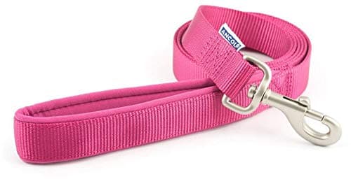 Image of Ancol Padded Nylon Lead Raspberry Pink 1m x 12mm