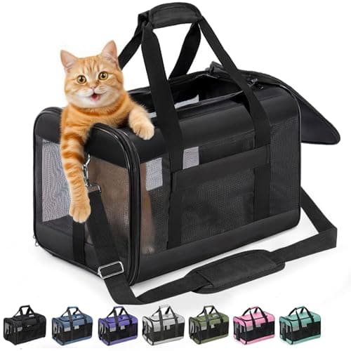 Image of Conlun Cat Carrier Airline Approved, Soft-Sided Dog Carrier with Inner Safety Leash, Pet Transport Carrier for Small-Medium Cats Puppies up to 7KG, Collapsible Travel Kitten Carrier Bag,Black(M)