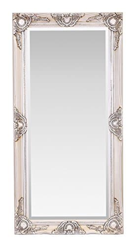 Image of Select Mirrors Haywood Large Rectangle Wall Mirror (Antique Champagne, 50cm x 100cm)