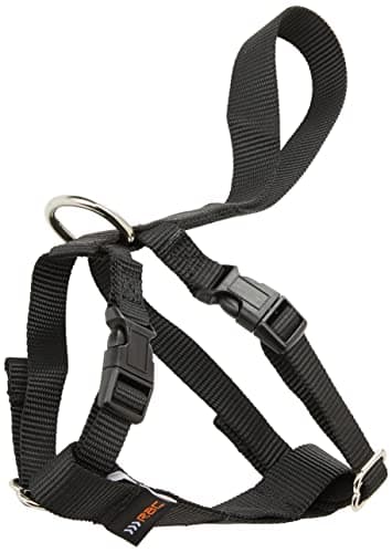 Image of RAC Car Harness, Small