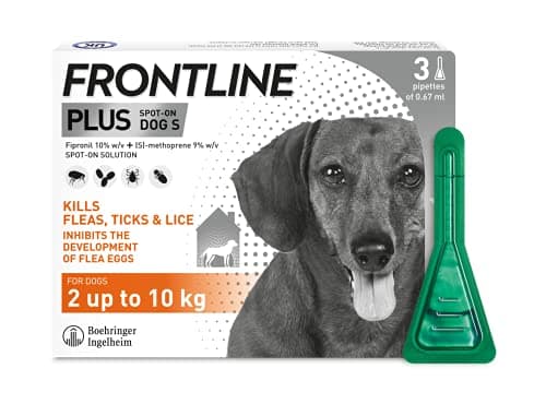 Image of FRONTLINE Plus Flea & Tick Treatment for Small Dogs - 3 Pipettes