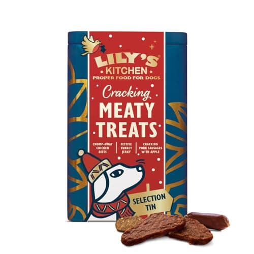 Image of Lily's Kitchen Made with Natural Ingredients Festive Meaty Treats Selection Tin for Adult Dogs