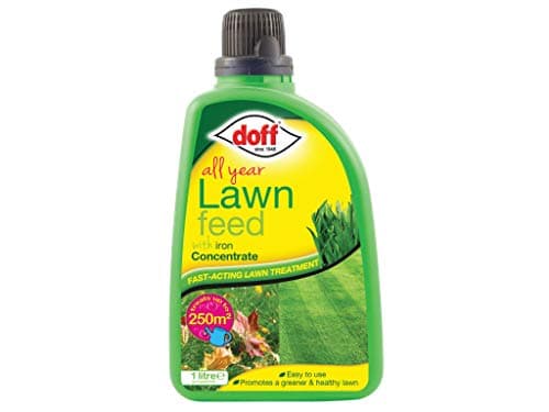 Image of All Year Lawn Feed Concentrate 1 Litre
