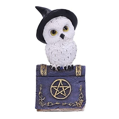 Image of Nemesis Now Avian Spell Owl Figurine 12.5cm – Blue Witchcraft Owl on Spell Book Resin Ornament
