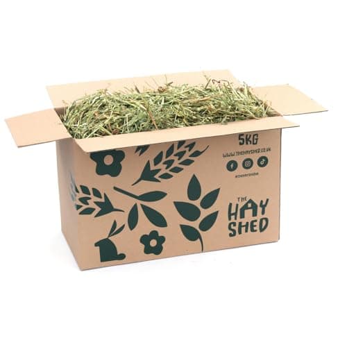 Image of The Hay Shed Premium Oat Hay for Small Pets – Long Stem Feeding Grass Barn Dried, Dust Free, High Fibre, Natural Green Stem Oat Hay for Rabbits, Guinea Pigs, Hamsters, Chinchillas - 1kg