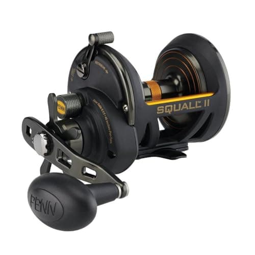 Image of PENN Fathom II Star Drag Reels – Saltwater Conventional Reel for Nearshore and Offshore Fishing, Shore and Kayak Use, Targeting Seabass, Tuna and Snapper, Right Hand, Black/Gold, 15