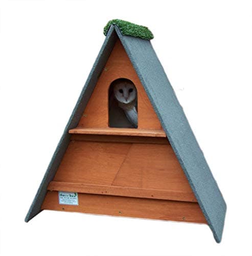 Image of barn owl nest box (Golden Brown)