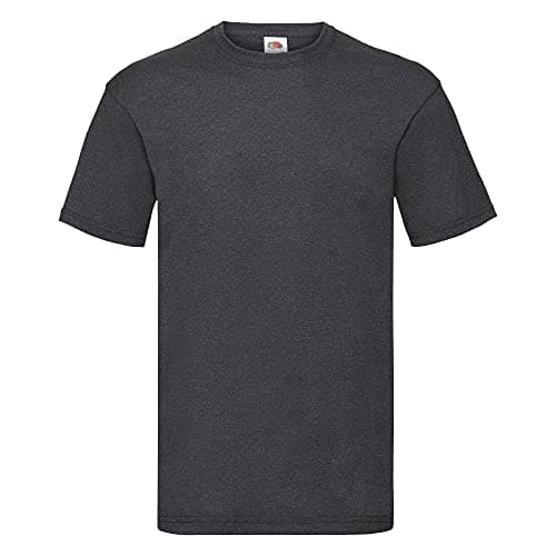 Image of Fruit of the Loom Mens Valueweight Short Sleeve T-Shirt (3XL) (Dark Heather)