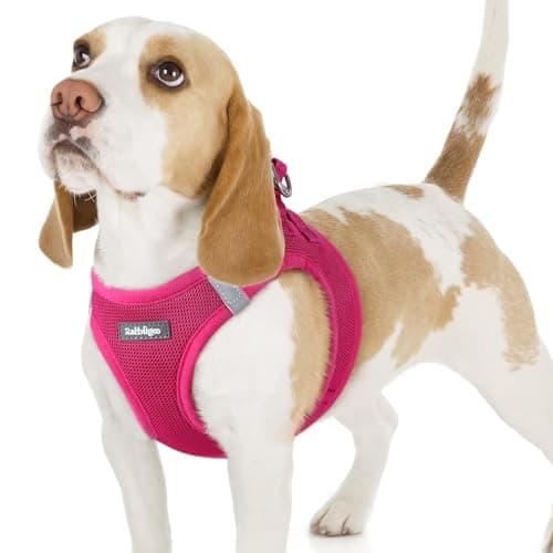 Image of rabbitgoo Dog Harness Small Dog, Step-in Soft Mesh Puppy Harness with Reflective Strips, Lightweight Breathable Pet Vest for Walking Training, Hot Pink, M