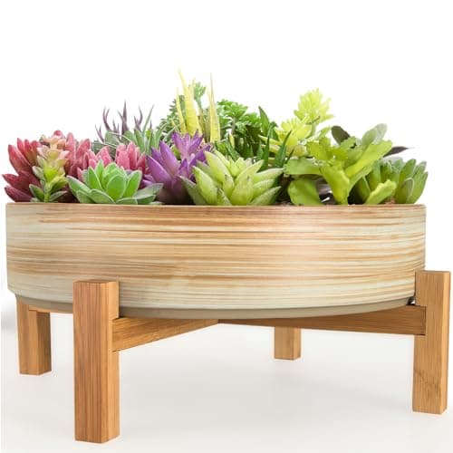 Image of ARTKETTY Succulent Plant Pots - 29 CM Ceramic Bonsai Pot with Drainage Stand, Large Plant Pot for Indoor Cactus Plants Shallow Flower Planter Bowl