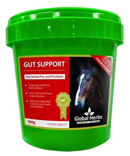 Image of Global Herbs Gut Support (500G)