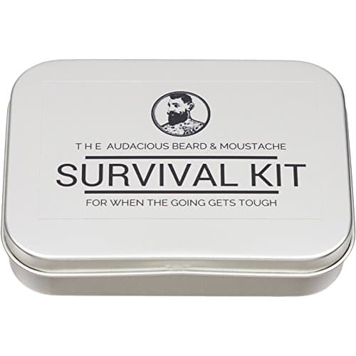 Image of The Audacious Beard and Moustache Survival kit - The Audacious Beard Co