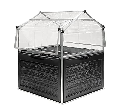 Image of Palram 4 x 4ft Plant Inn Garden Bed Mini Greenhouse, Clear Polycarbonate