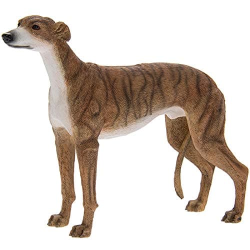 Image of The Leonardo Collection Greyhound Brindle