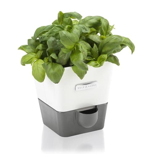 Image of Cole & Mason Burwell Self-Watering Potted Herb Saver, Windowsill Herb Planter Indoor/Herb Box/Indoor Herb Garden, Single, Suitable for 1 pot (85 mm), Includes 4 x Pads, White/Grey