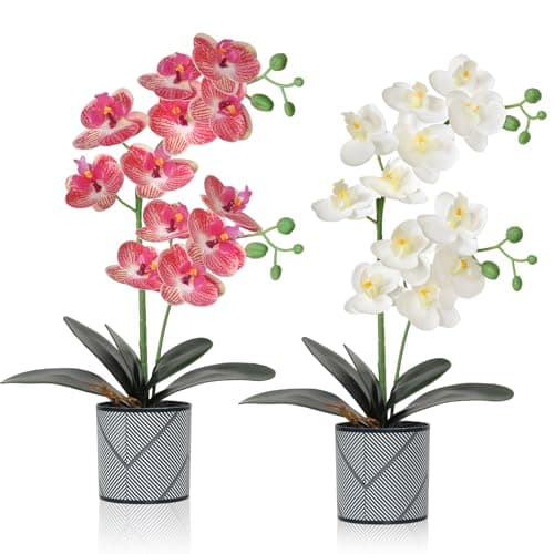 Image of LOMOHOO Artificial Orchid Flowers in Pot,2 pack Potted Orchid Plant Fake Phalaenopsis Flowers with Plastic Vase for Table Home Decor Office Wedding Party Decoration Pink White