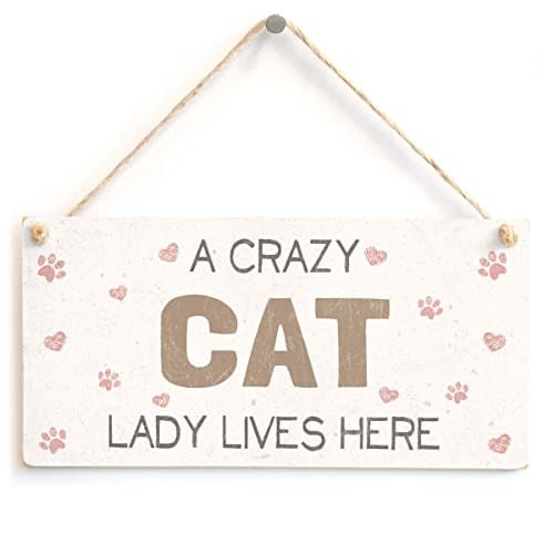 Image of A Crazy Cat Lady Lives Here - Super Cute Home Accessory Novelty Gift Sign