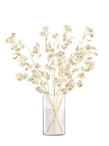 Image of LSA International Wicker Vase/Lantern H25cm Clear| 1 Unit | Mouthblown & Handmade Glass | WR11