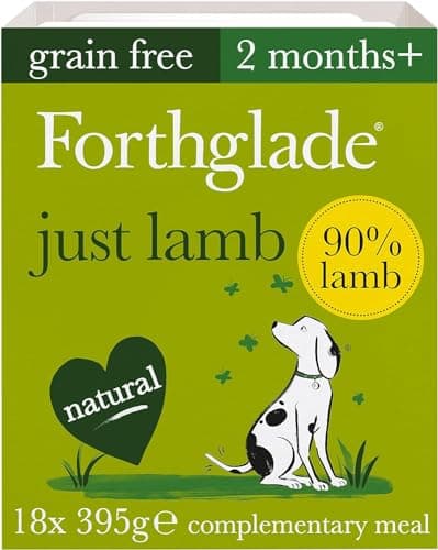 Image of Forthglade Complementary Wet Dog Food (18 x 395g Trays) - Grain Free & Hypoallergenic Dog Food, Just 90% Lamb, Stomach Sensitive Meals with Natural Ingredients