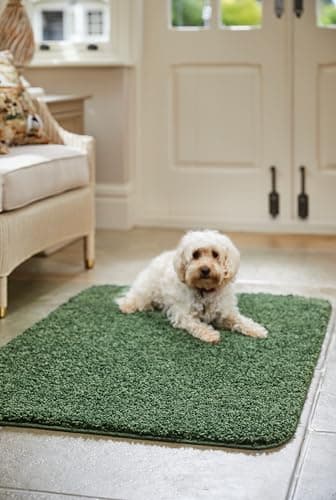 Image of Origin Buddy Mat 100% Polyproplene Frisee Rug My Rug (FOREST GREEN, 60x100cm)