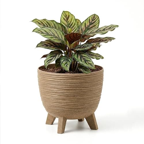 Image of GEEZY Brown Plant Pot with Legs, 29 cm - Weather Resistant Indoor & Outdoor Planter - Modern Textured Flower Pot for Living Room, Garden & Patio