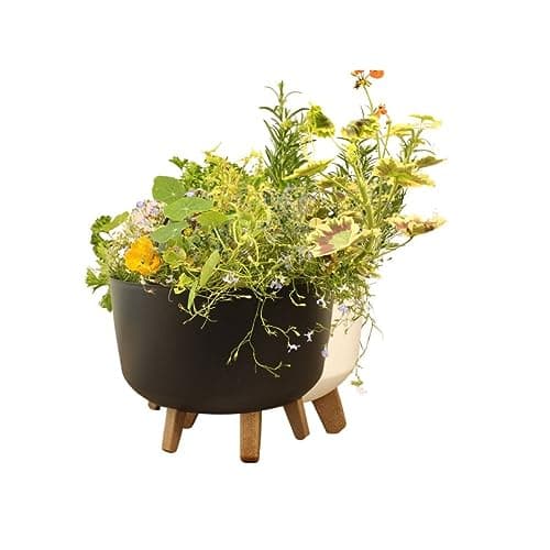 Image of Gardening Naturally Indoor Plant Pot Zinnia Stylish and Durable Planter for Houseplants (Low Pot 24cm - Anthracite)