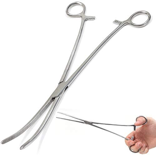 Image of Stainless Steel 6'' 8'' 10'' 12'' Straight or Curved Fishing Forceps Carp Sea Fly (10'' Curved)