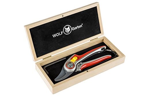 Image of MTD WOLF-Garten RR 5000 Double-Edged Secateurs in Attractive Wooden Box