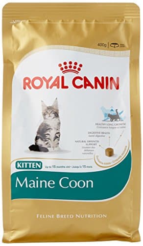 Image of Royal Canin Kitten Maine Coon Dry Food 400g