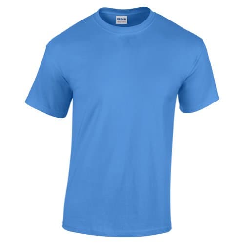 Image of Gildan Childrens Unisex Heavy Cotton T-Shirt (L) (Carolina Blue)