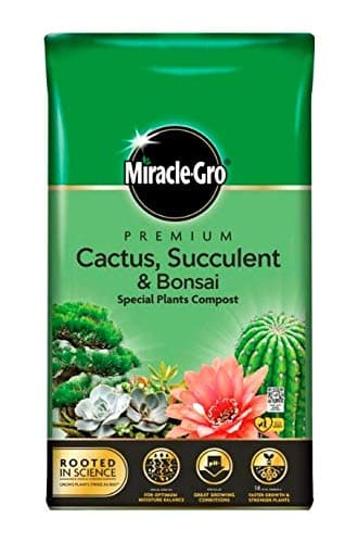 Image of Miracle-Gro Premium Cactus, Succulent & Bonsai Compost 6L Easy Carry Pack
