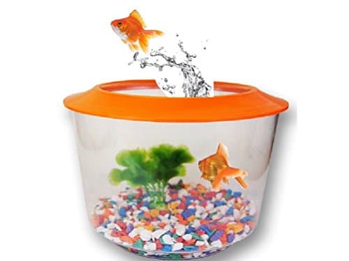 Image of GOLDFISH STARTER SET KIT PACK TANK AQUARIUM BOWL LID GRAVEL PLANT GOLD FISH HOME