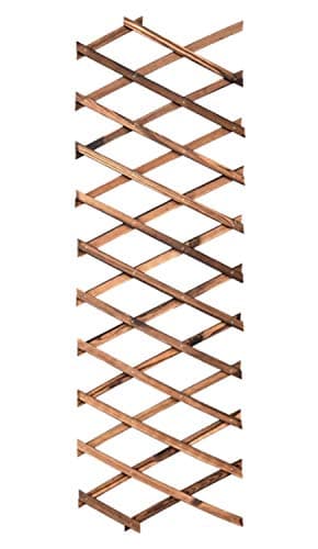 Image of XIANTIAN Garden TrellisesExpandable Plant Climbing Lattices Trellis Fence Support 6.5ft × 1ft (0.7 × 200 × 30cm) 0.7cm thickness