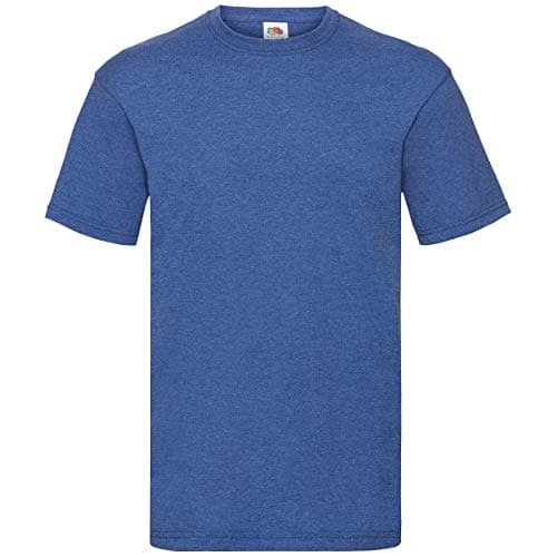 Image of Fruit of the Loom Mens Valueweight Short Sleeve T-Shirt (2XL) (Retro Heather Royal)