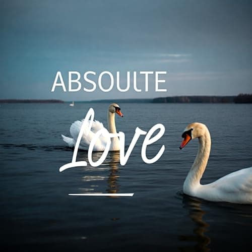Image of The Absolute Secret